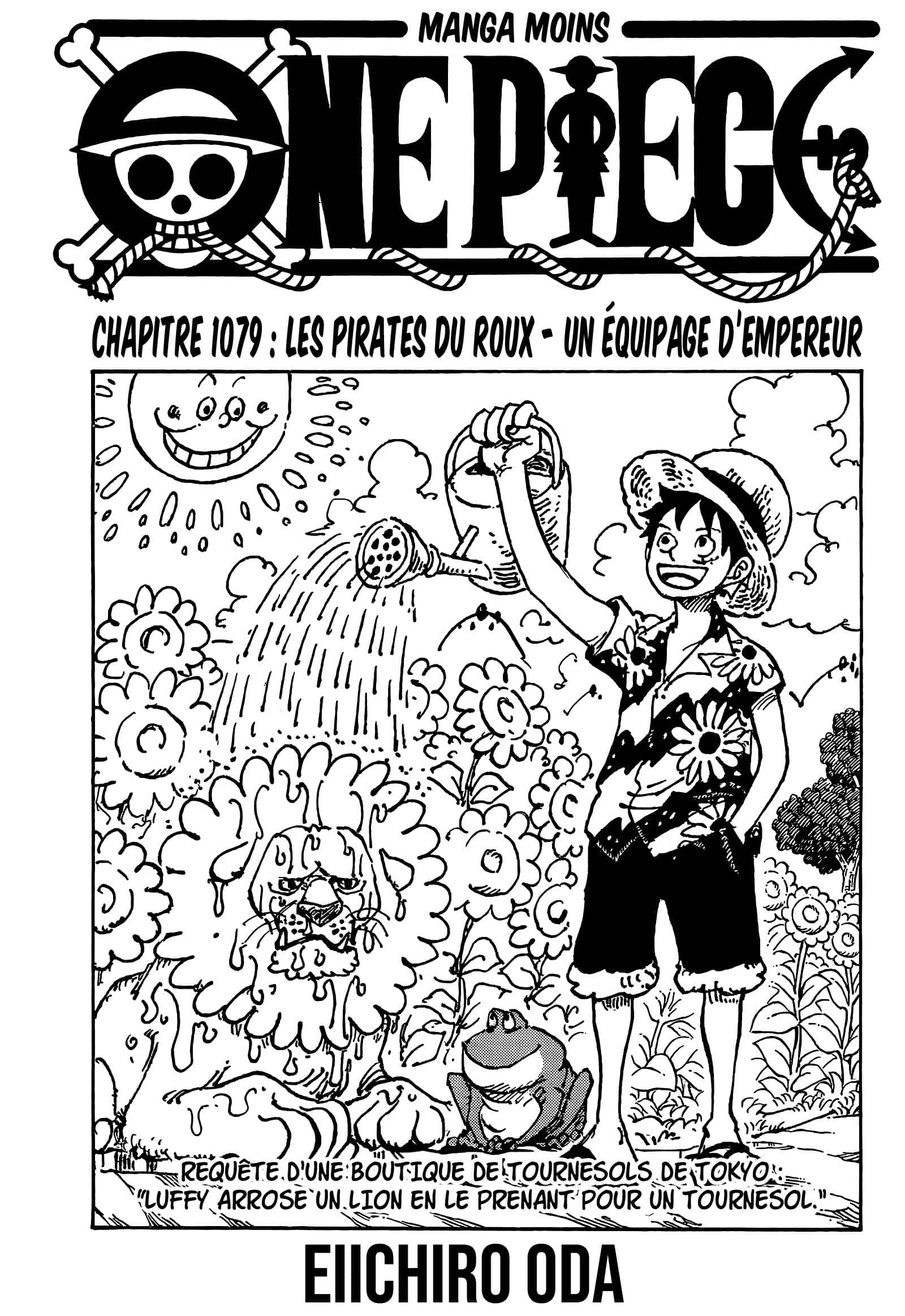 La couverture d'un chapitre de One Piece