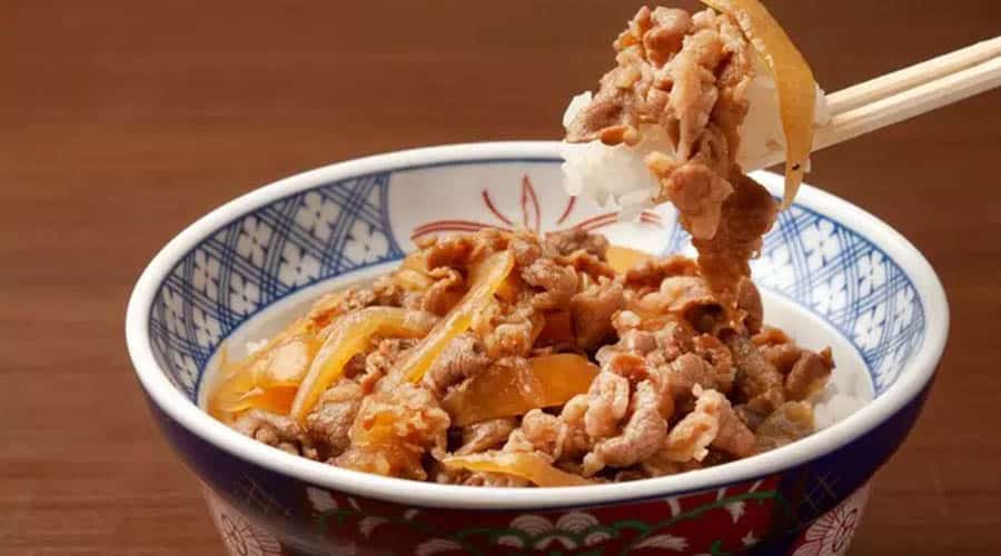 Vue rapprochée d'un donburi, plat parmi les plus consommés au Japon